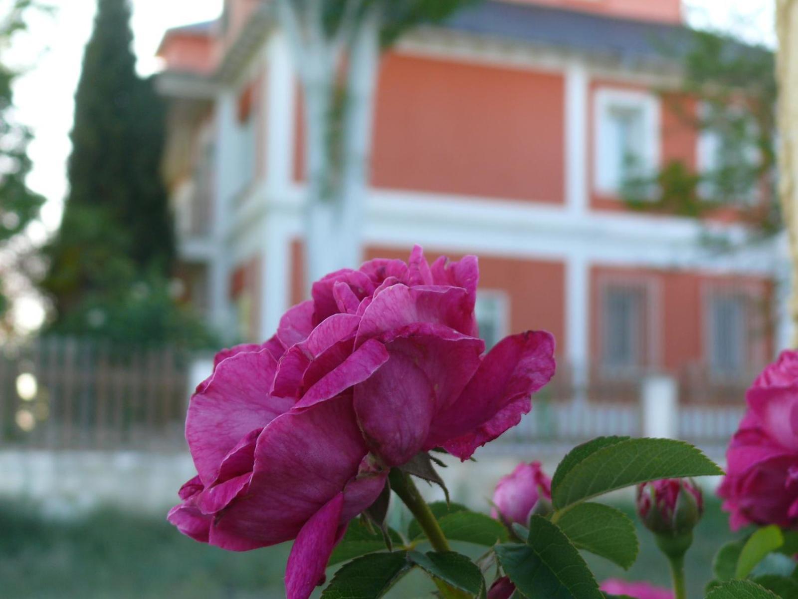 La Casa Grande De Gormaz Villa Quintanas de Gormaz Eksteriør billede