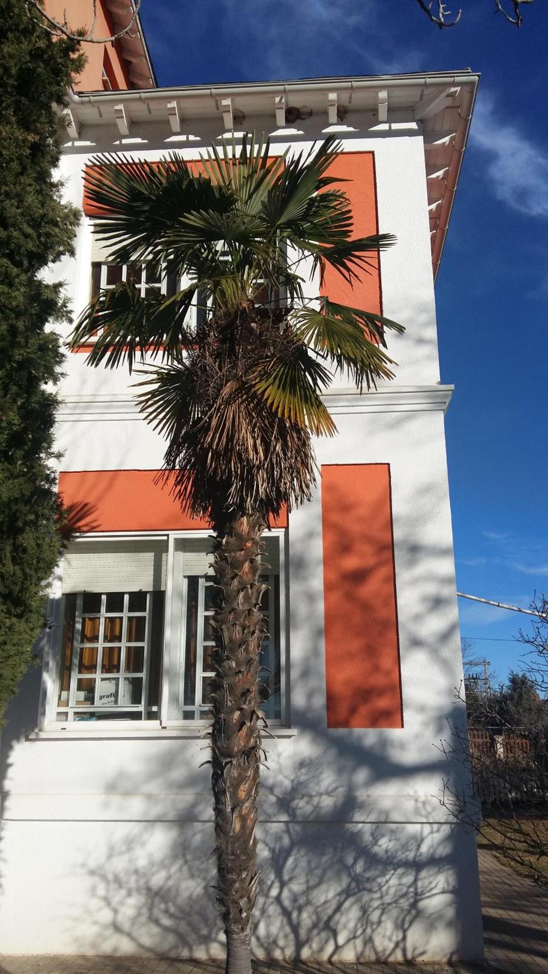La Casa Grande De Gormaz Villa Quintanas de Gormaz Eksteriør billede